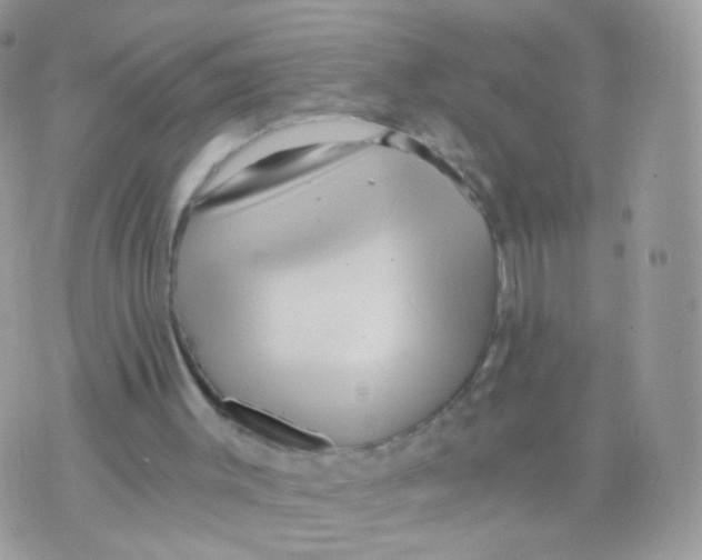 X0000071330003200607212019