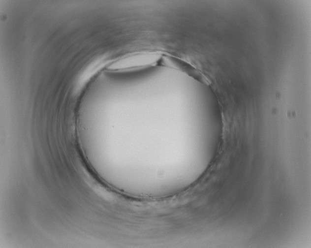 X0000071330005200607212019