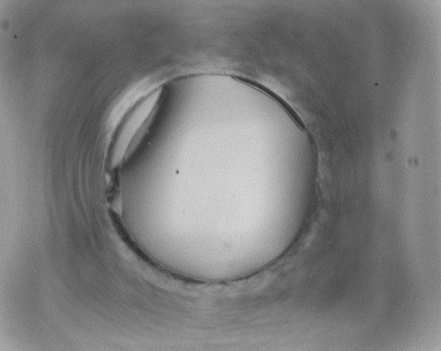 X0000071330007200607212019