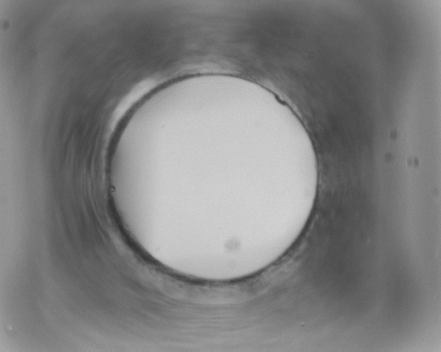 X0000071330008200607212018