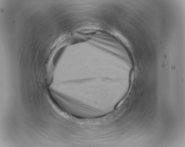 X0000071330009200607212018