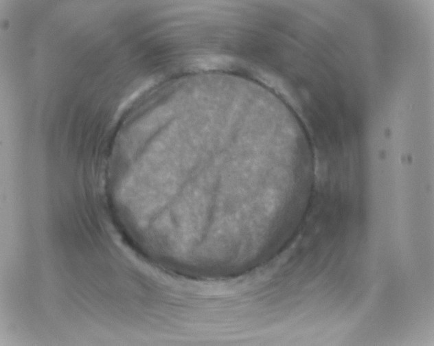 X0000071330010200607212018