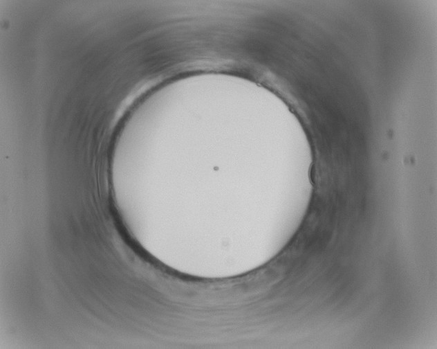 X0000071330011200607212018