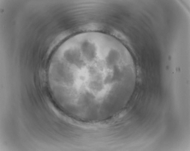 X0000071330012200607212018