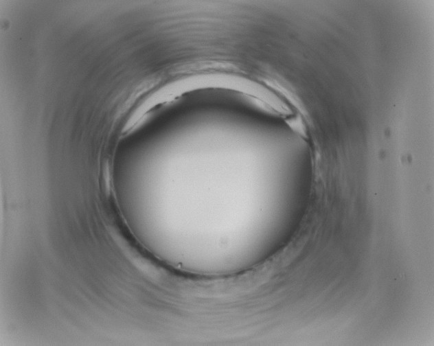 X0000071330013200607212018