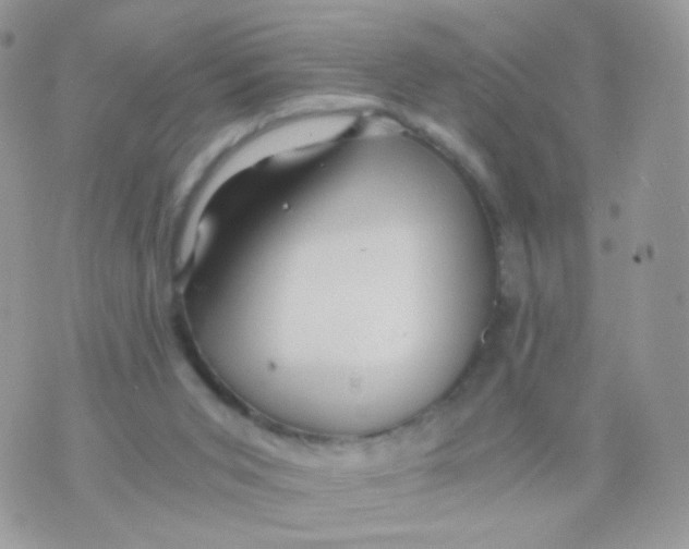 X0000071330015200607212018