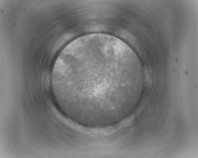 X0000071330016200607212018