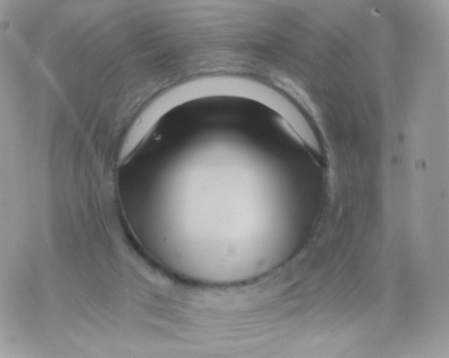 X0000071330017200607212018