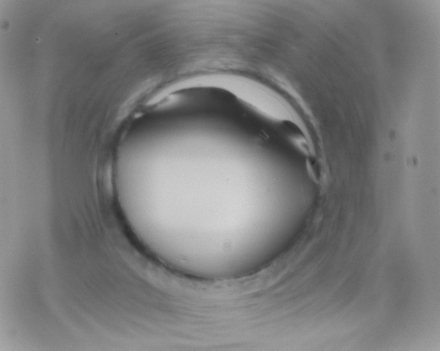 X0000071330019200607212018