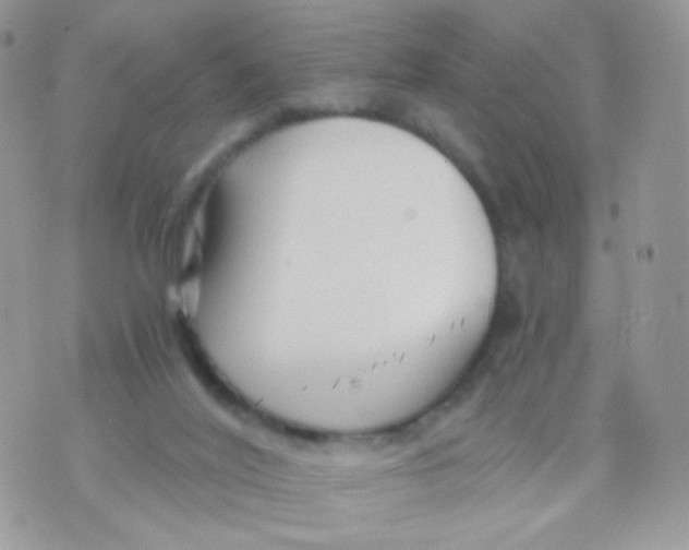 X0000071330020200607212018