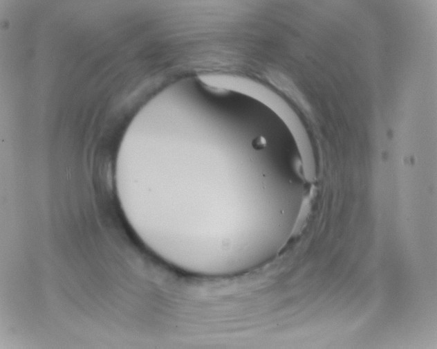 X0000071330021200607212018