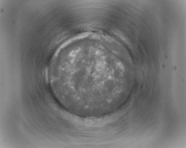 X0000071330022200607212018