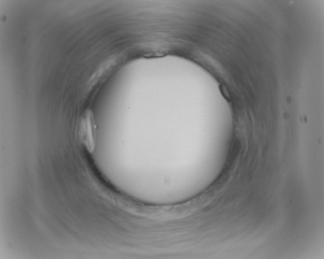 X0000071330023200607212018