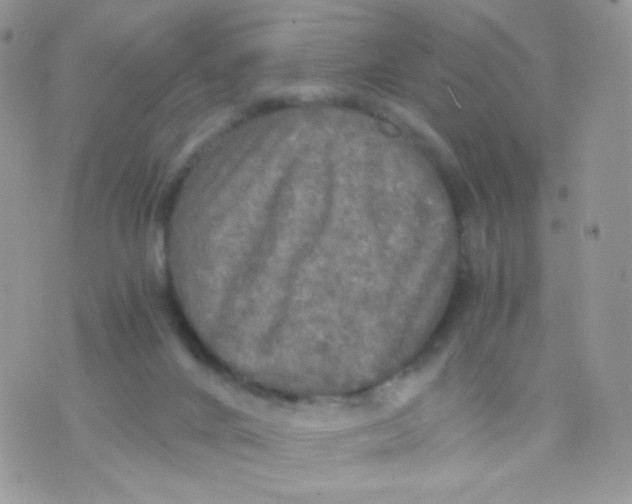 X0000071330024200607212018