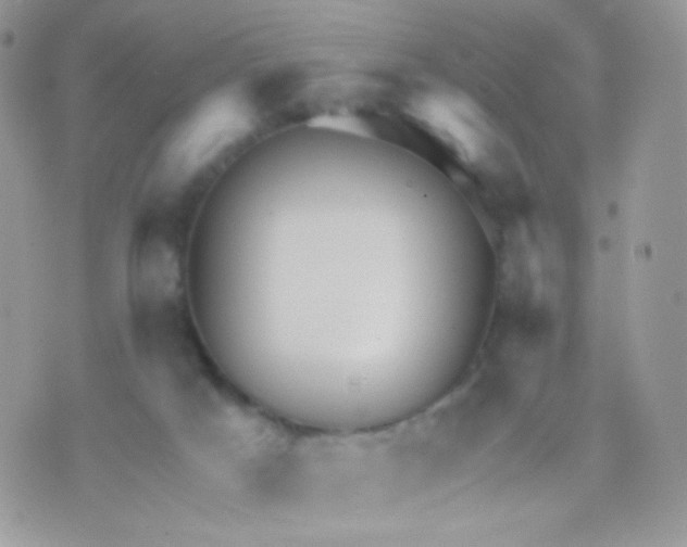 X0000071330025200607212018