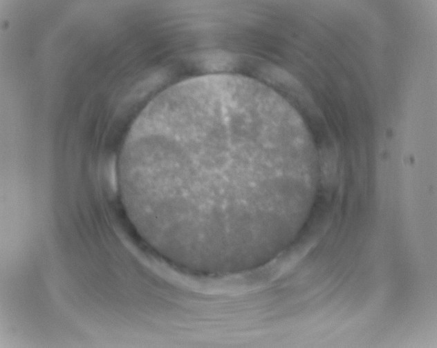 X0000071330028200607212018