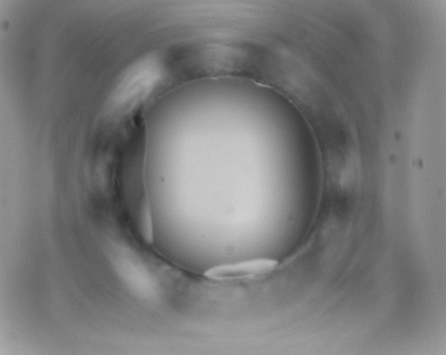 X0000071330029200607212018