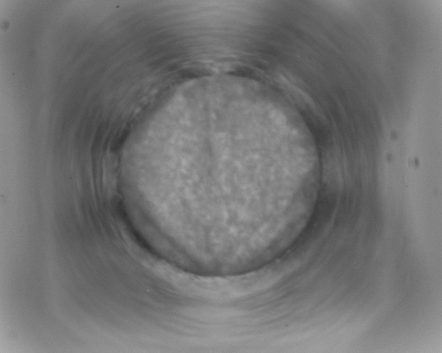 X0000071330030200607212018