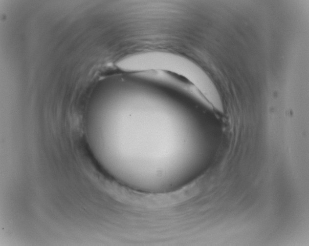 X0000071330031200607212018