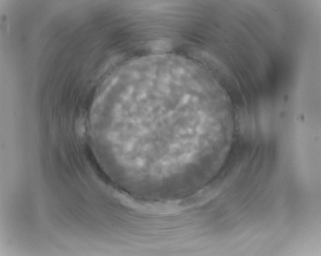 X0000071330032200607212018