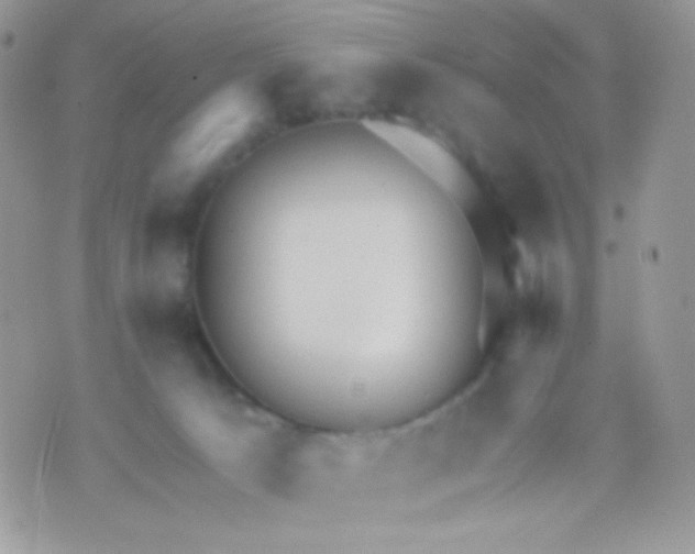 X0000071330033200607212018