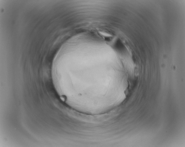 X0000071330035200607212018