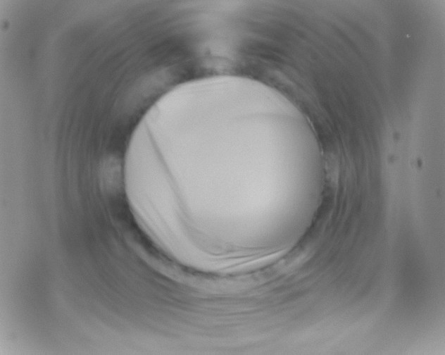 X0000071330036200607212018