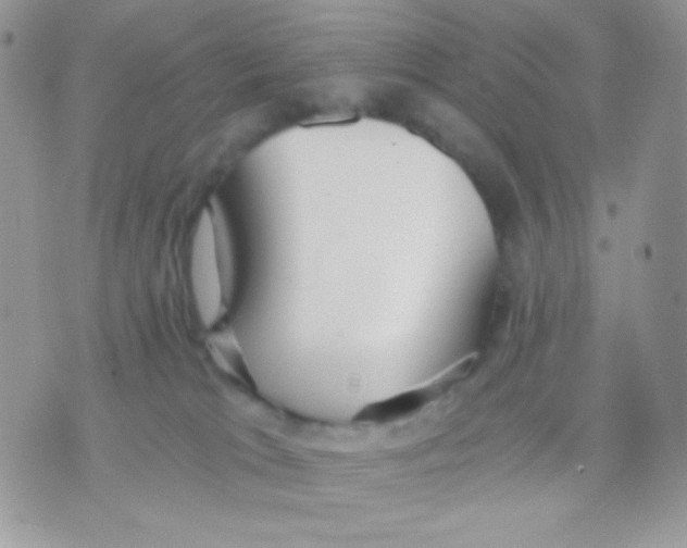 X0000071330037200607212018