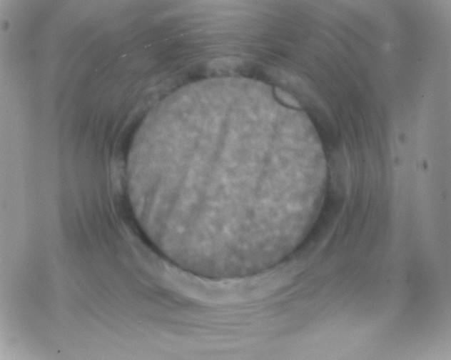 X0000071330038200607212018