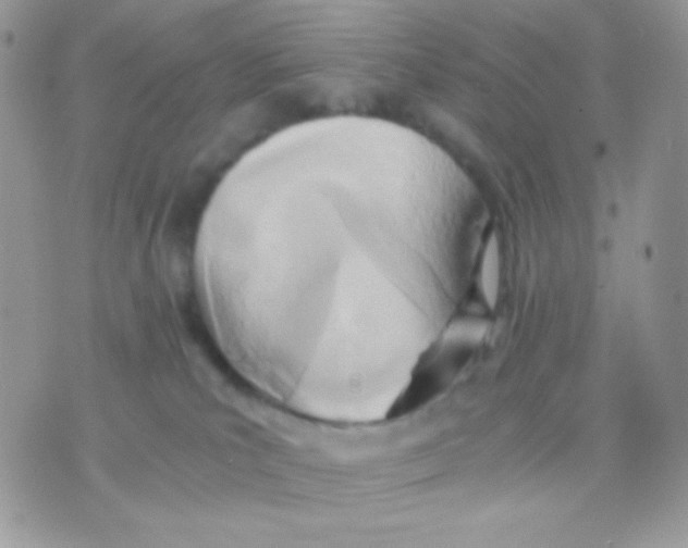 X0000071330039200607212018