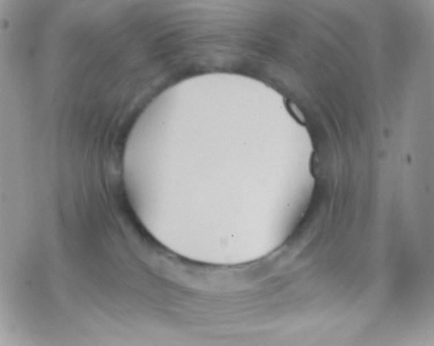 X0000071330040200607212018