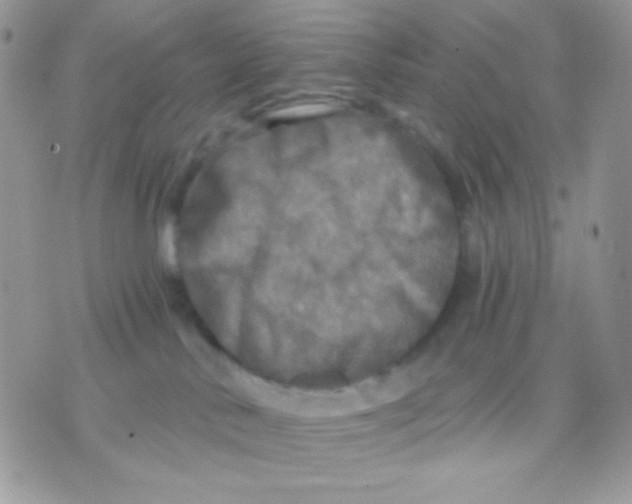 X0000071330042200607212018