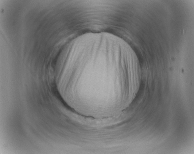 X0000071330043200607212018