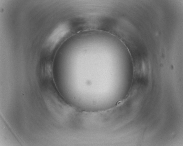 X0000071330045200607212018