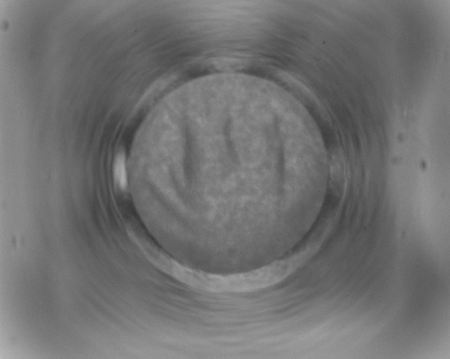 X0000071330046200607212018