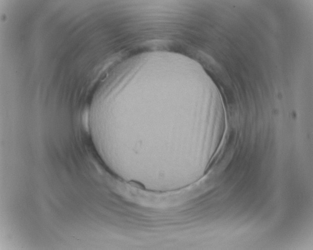 X0000071330047200607212018