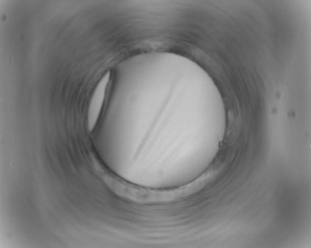 X0000071330048200607212018