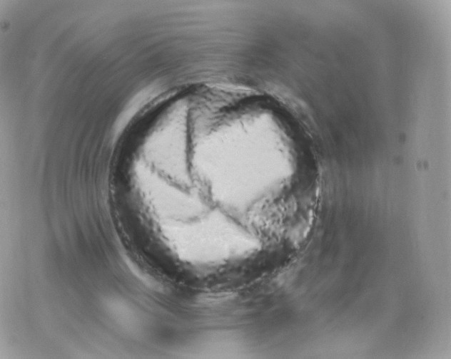 X0000071330051200607212017