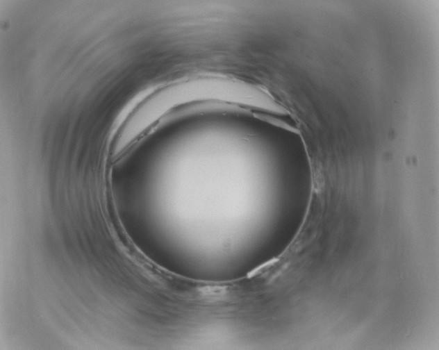 X0000071330052200607212017