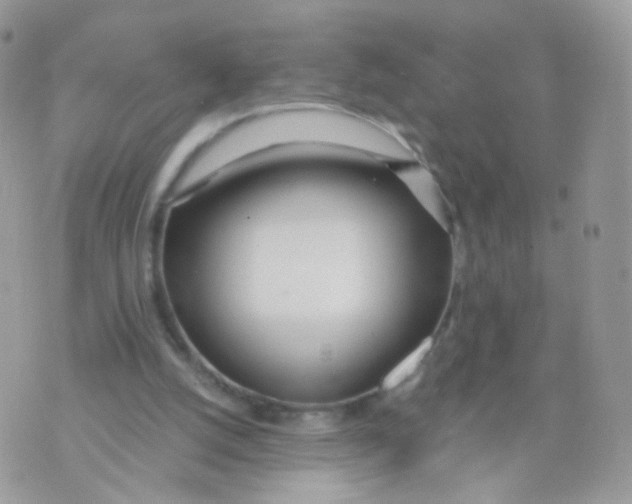 X0000071330056200607212017