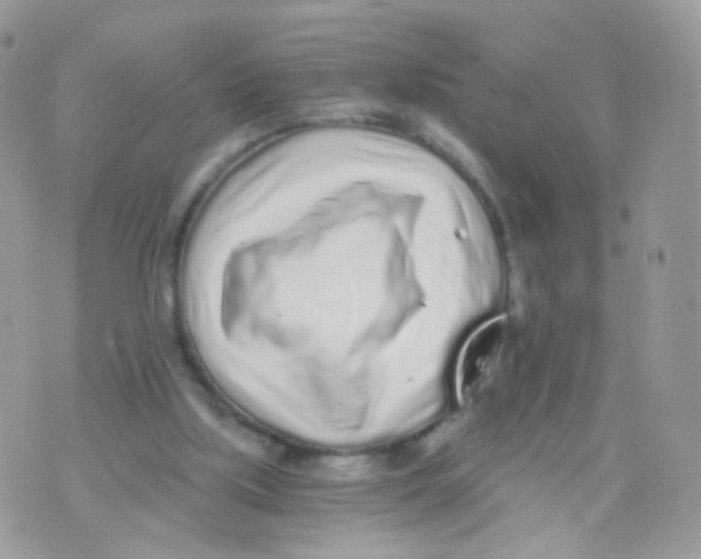 X0000071330059200607212017