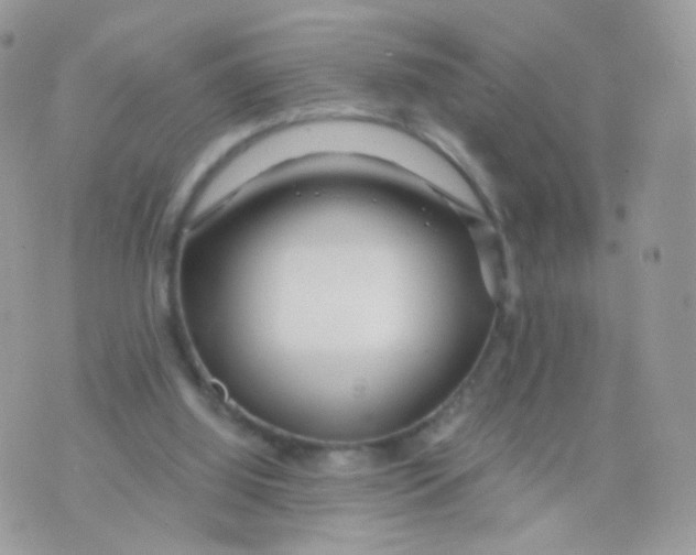 X0000071330060200607212017