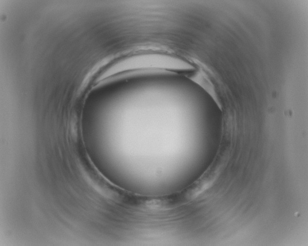 X0000071330064200607212017