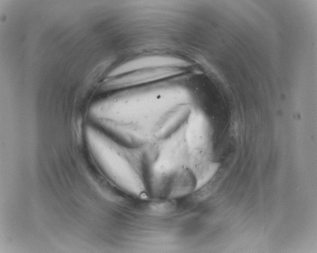 X0000071330070200607212017