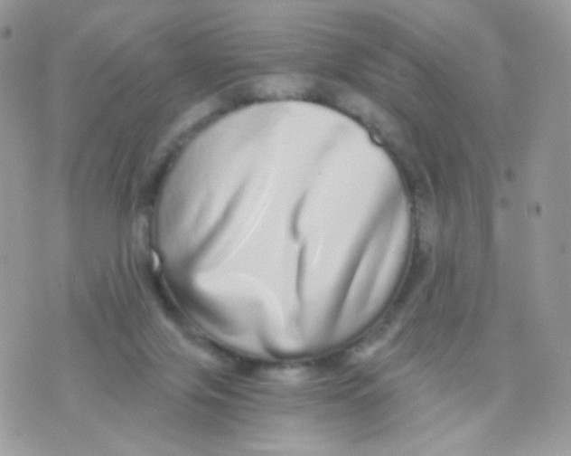 X0000071330071200607212017