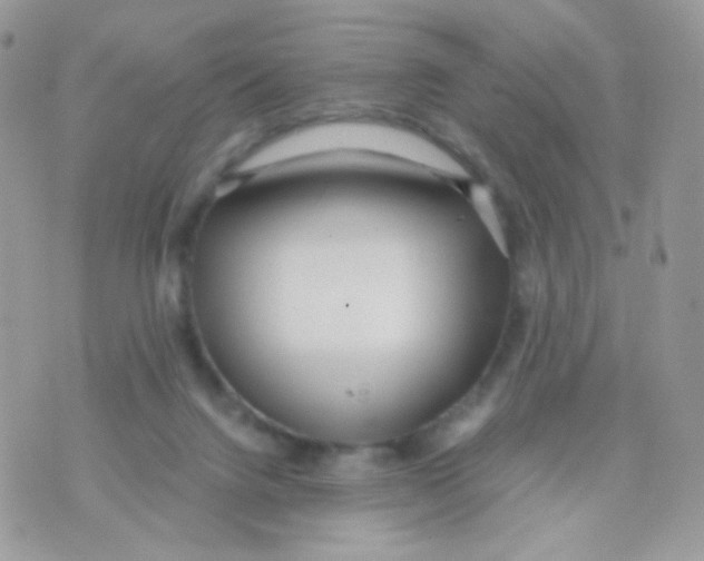 X0000071330072200607212017