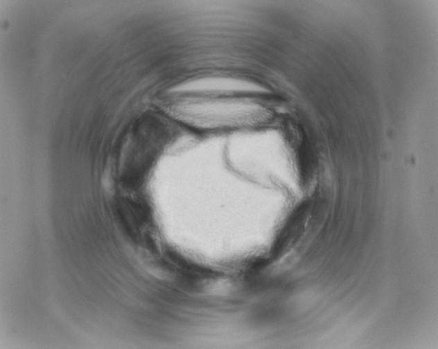 X0000071330074200607212017