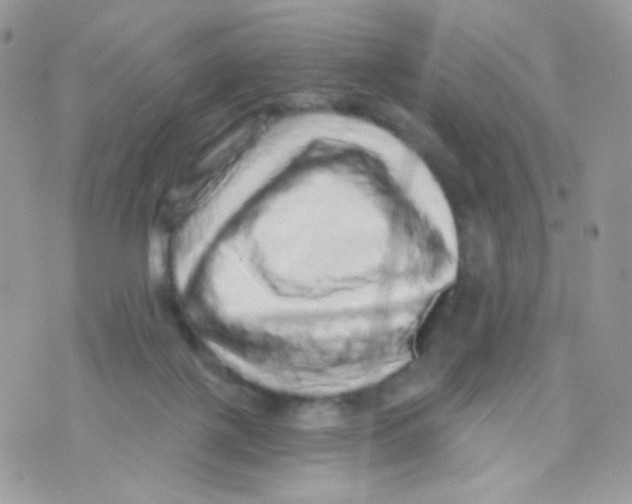 X0000071330075200607212017