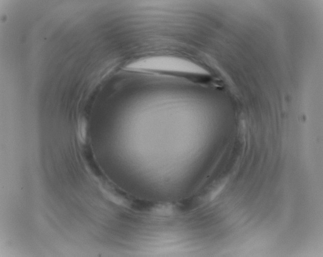 X0000071330076200607212018