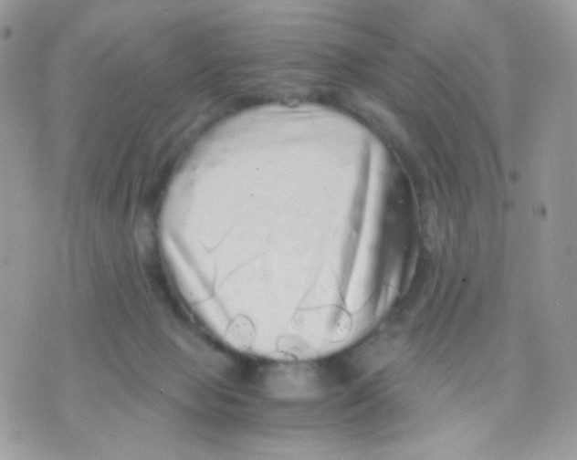 X0000071330077200607212018